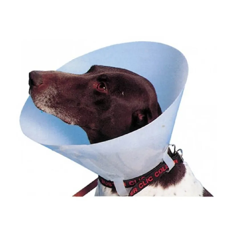 Must-Have Collare Elisabetta classico per cani e gatti - 7,5 cm