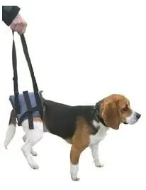 Promozione Esclusiva Pettorina Handy Canis Zampe Posteriori XS