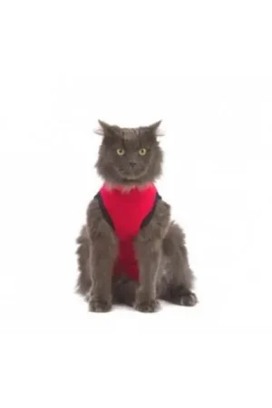Medical Pet Shirt Gatto XXXS Compra Oggi Stesso