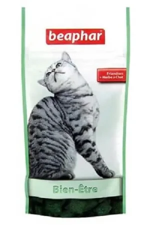 Più Venduto Beaphar Catnip Bits Erba gatta Bits sacchetto 35 gr