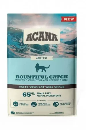 Solo Oggi Acana Bountiful Catch Adult Chat 1.8 kg