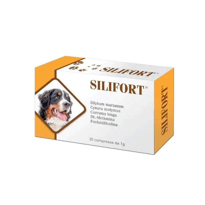 Silifort 30 cpr 1 gr Prezzo Basso