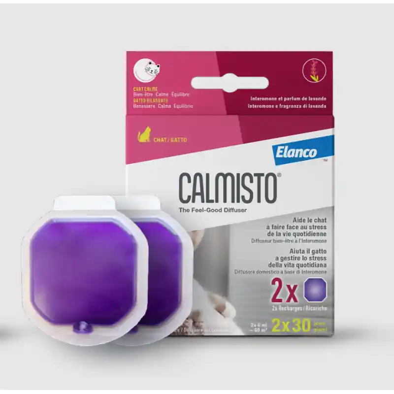 Calmisto Gatto Ricarica Ordina Subito