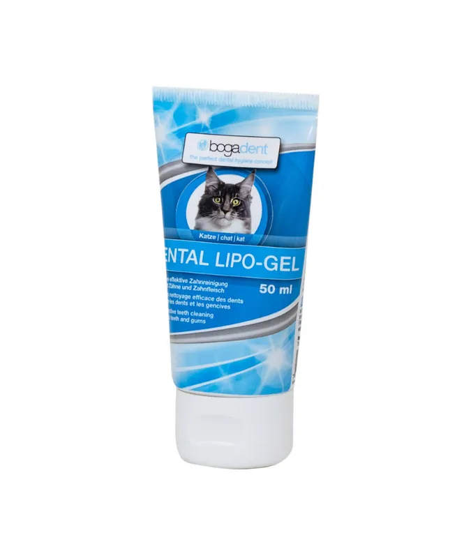 Quantità Limitata Bogadent Dental Lipo-Gel da 50ml