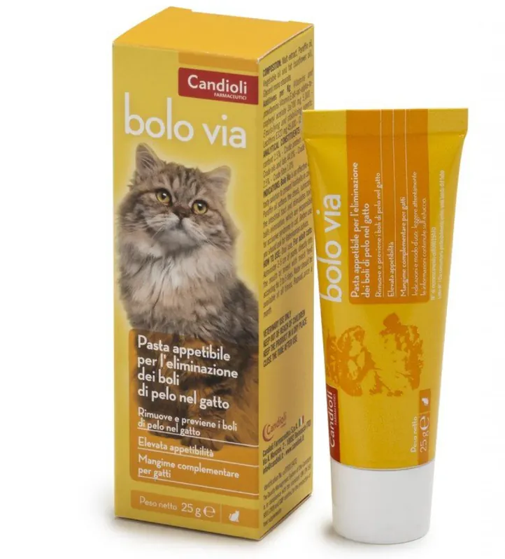 Promo Stagionale Candioli - Bolo Via - Pasta - 100gr