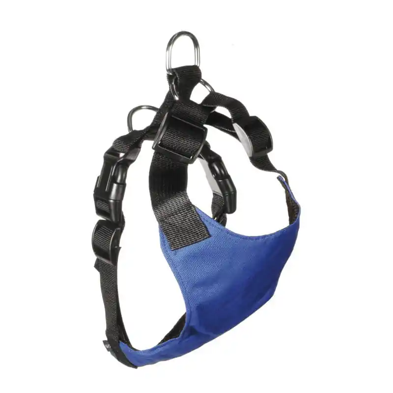 Spedizione Espresso Best Friend Pettorina di Sicurezza per Auto per Cani
