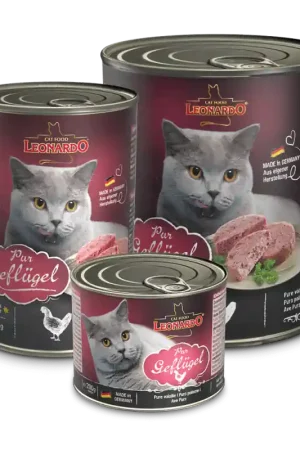 Solo Oggi Leonardo Pura Carne di Pollame Cibo Umido per Gatti