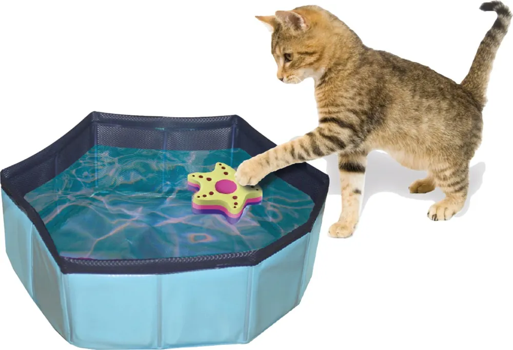 Compra Adesso Croci Piscina per Gatti