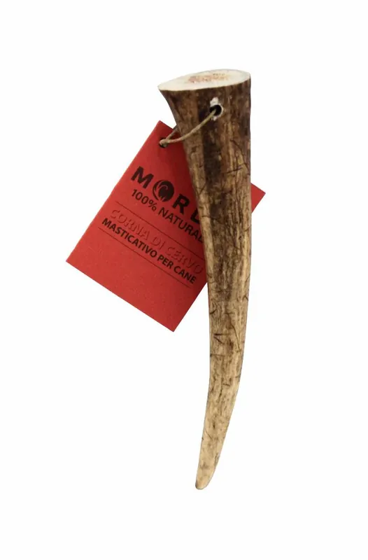 MORDO Corna di Cervo XS 35/49 gr Compra Oggi Stesso