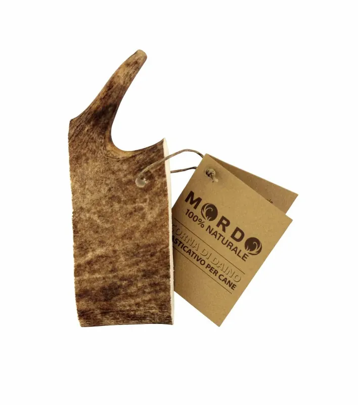 MORDO Corna di Daino L 151/220 gr Prezzo Di Fabbrica