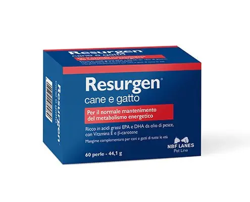 Nbf Resurgen Cane E Gatto 60 Perle, 44.1G Vendita Finale