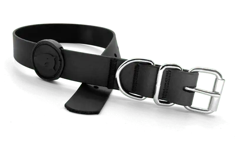 Collare Waterproof Black per Cani Spedizione Espresso