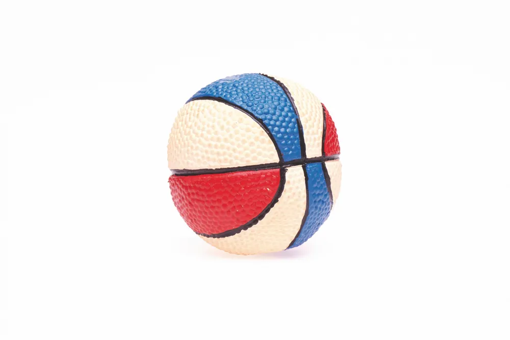 Compra Adesso LANCO PallaBasket Lattice 100% naturale gioco per cani